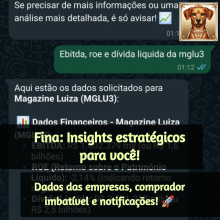 Fina conversando no Whatsaspp sobre dados de uma empresa